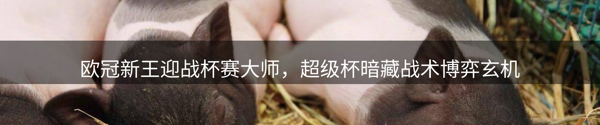 今日资讯
